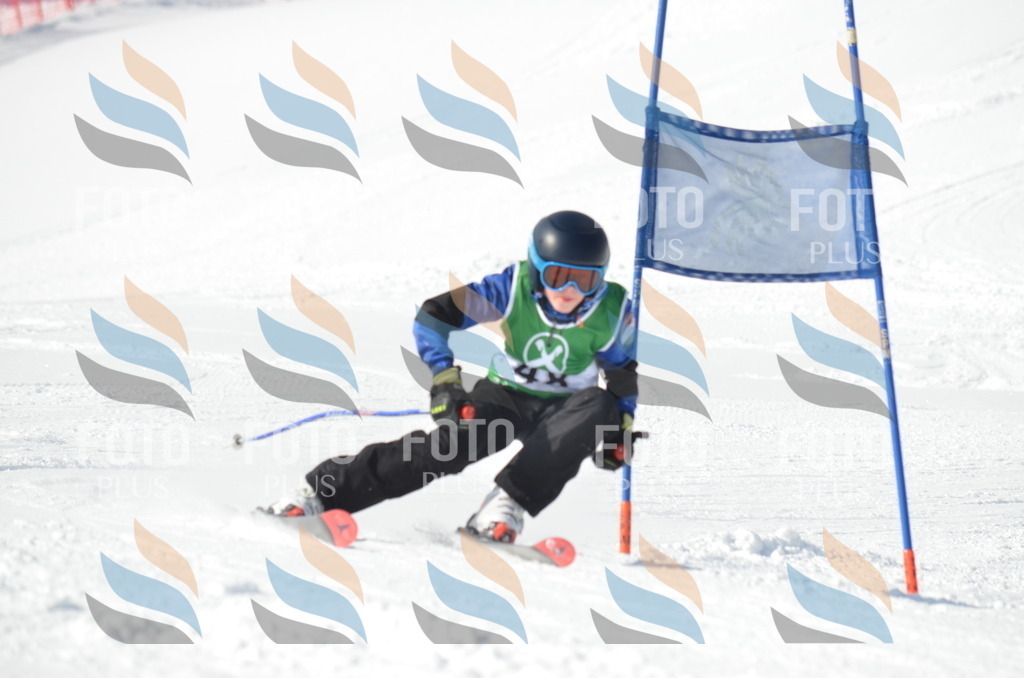 D8765 | holidayphoto