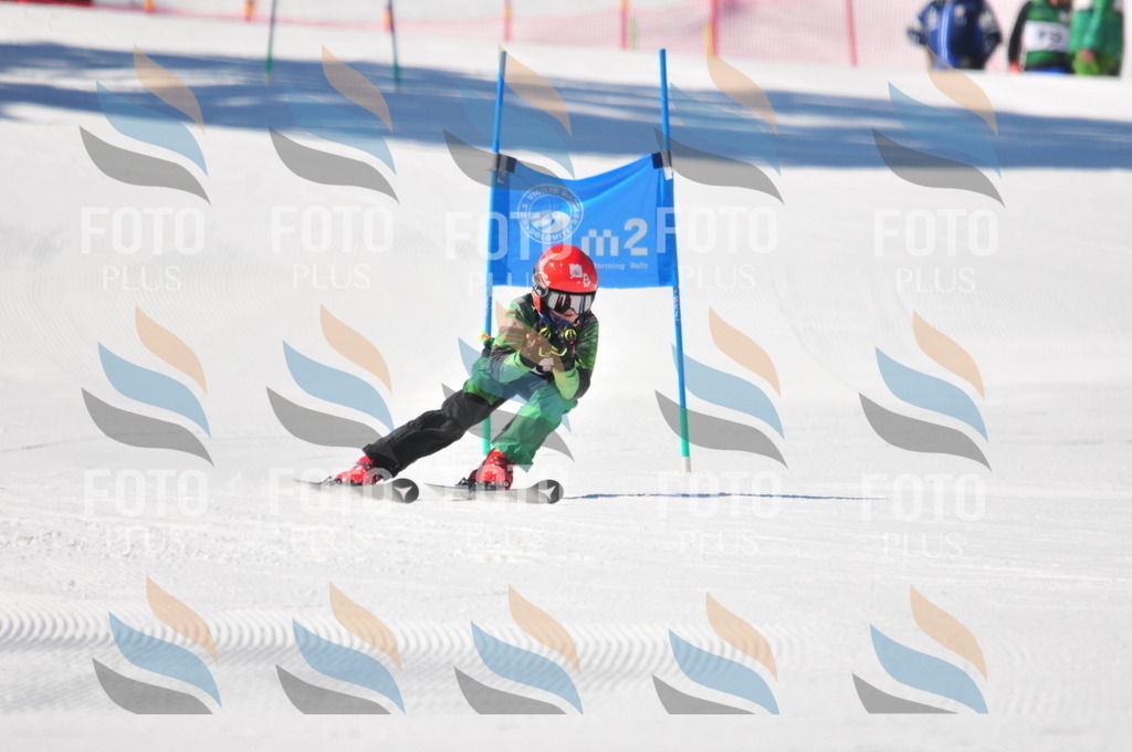 C3143 | holidayphoto