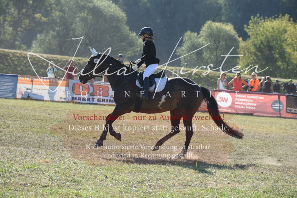 DSC_5734 | Pferde- und Turnierfotografie in Westsachsen. Pferdeportraits, Auftragszeichnungen und intuitive Kunst.