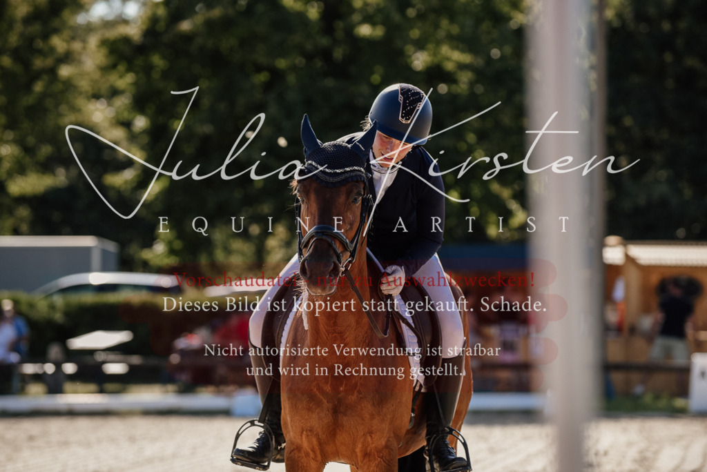 DSC_0283 | Pferde- und Turnierfotografie in Westsachsen. Pferdeportraits, Auftragszeichnungen und intuitive Kunst.