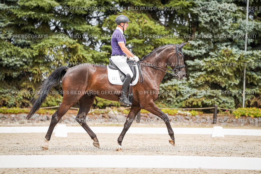 DSC06201 | Pferdegrafie