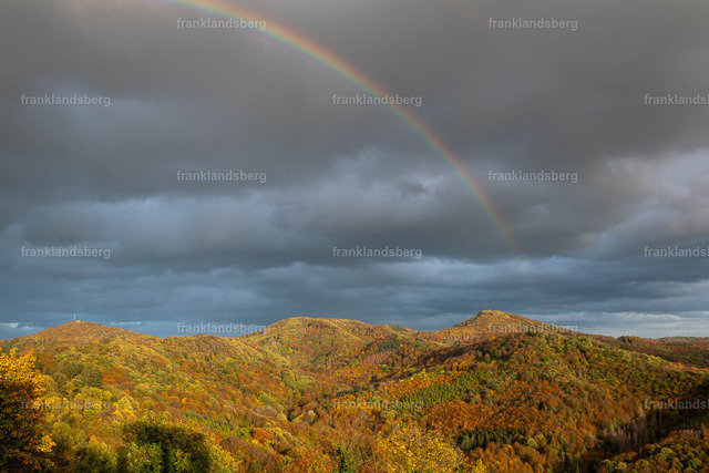 DSC_1758 | Bilder von Frank Landsberg / Siebengebirge in Bildern - Realisiert mit Pictrs.com