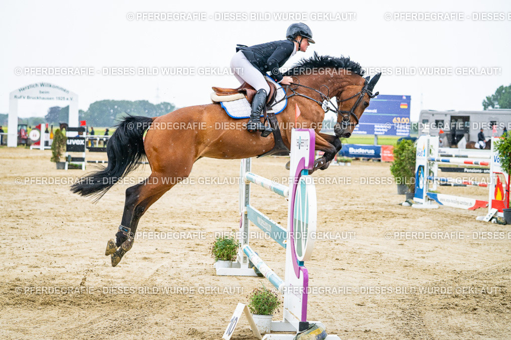 DSC08744 | Pferdegrafie