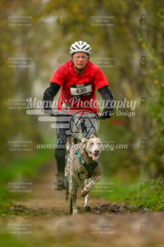MompixPhotography_20TSB_E6_Bike-131 | PayLife