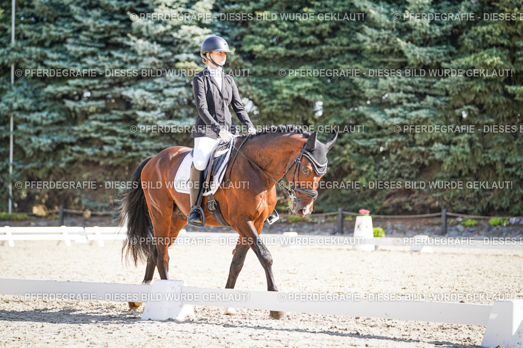 DSC00343 | Pferdegrafie