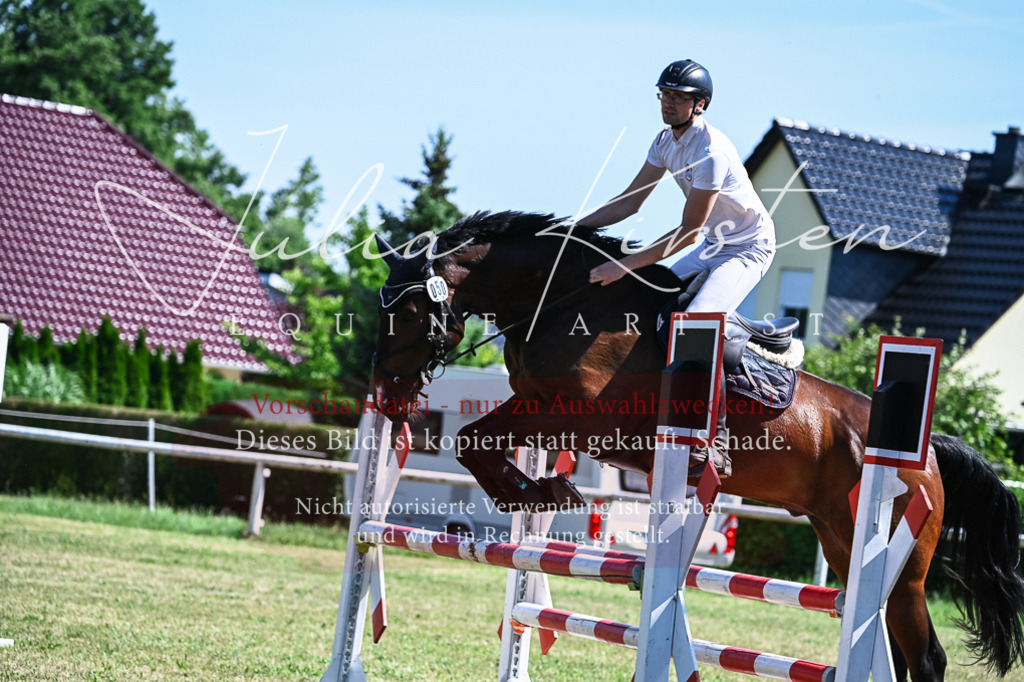 DSC_1238 | Pferde- und Turnierfotografie in Westsachsen. Pferdeportraits, Auftragszeichnungen und intuitive Kunst.