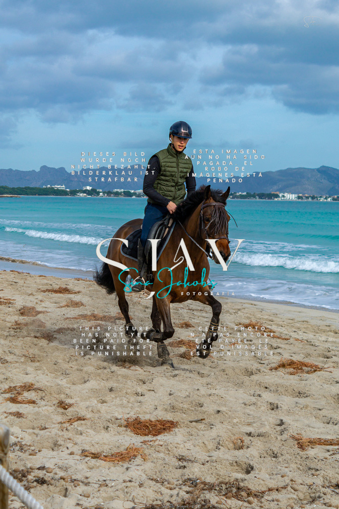 IMG_2546 | s-jay-photography - Realisiert mit Pictrs.com