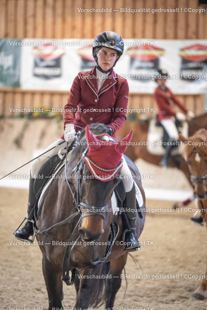 _D5A5523 | Emotionale Pferde- & People-Fotografie rund um Heidelberg, Leimen & Umgebung. Natürliche Fotos von Pferd, Mensch & Familie. Jetzt Termin sichern!