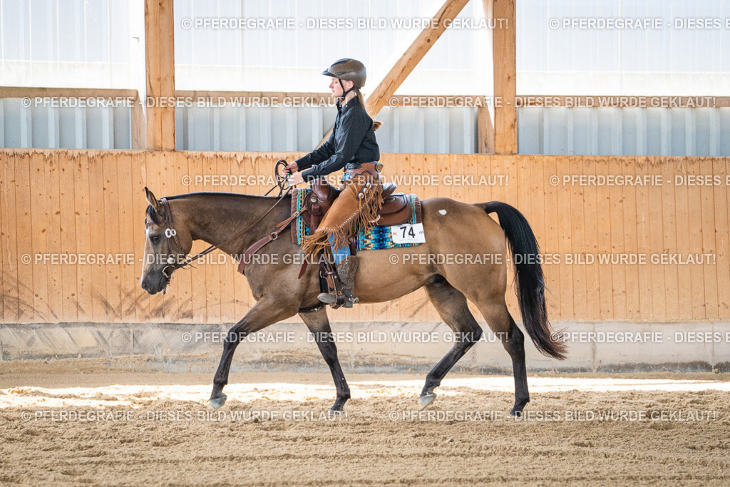 DSC03368 | Pferdegrafie