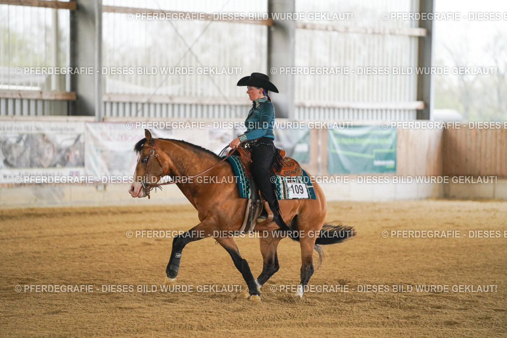 DSC08487 | Pferdegrafie