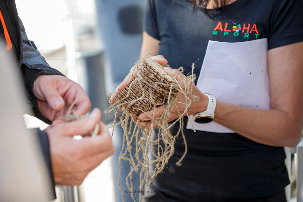 ..... | 06.09.2025, AUSTRIA, Mondsee, ALOHA TRI MONDSEE - Pastaparty , Image shows: Photo: WAPICS / Willdoner Andreas