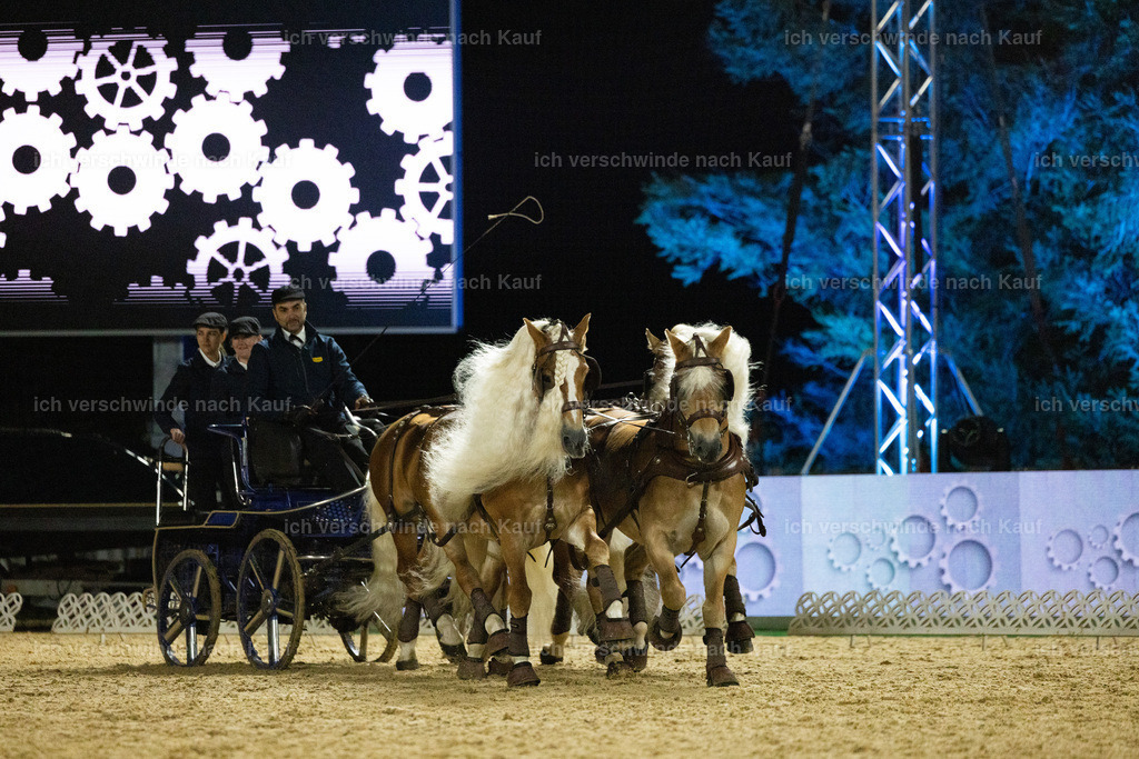 FHClassics-277 | working equitationturnier fotograf videograf stoibphotography marixx film working equitation deutschland reitsport turnierfotografie eventfotografie equestrian events