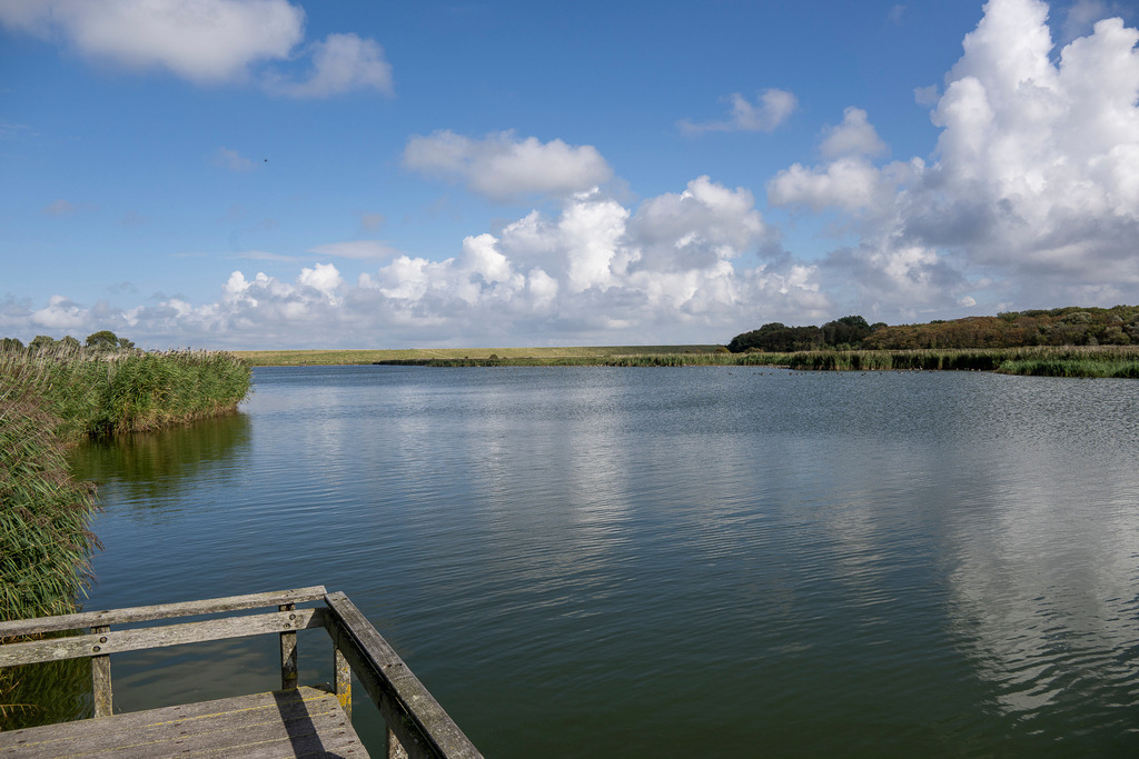 Stille Oase am Wasser: Unberührte Naturidylle nahe De Cocksdorp | Ein hölzerner Steg öffnet den Blick auf ein ruhiges Gewässer bei De Cocksdorp im Norden von Texel, umrahmt von saftigem Schilf und sanften Dünenketten am Horizont. Über der idyllischen Naturlandschaft erstreckt sich ein weiter, blau-weißer Wolkenhimmel, dessen Spiegelung dem Wasser eine verträumte Tiefe verleiht. Das Motiv vermittelt pure Entschleunigung und unberührte Natur – perfekt für Reise- und Umweltberichte, Magazinstrecken zur Naherholung sowie redaktionelle Beiträge über die Vielfalt der holländischen Küstenregion. - Realisiert mit Pictrs.com