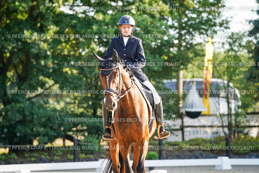 DSC07957 | Pferdegrafie