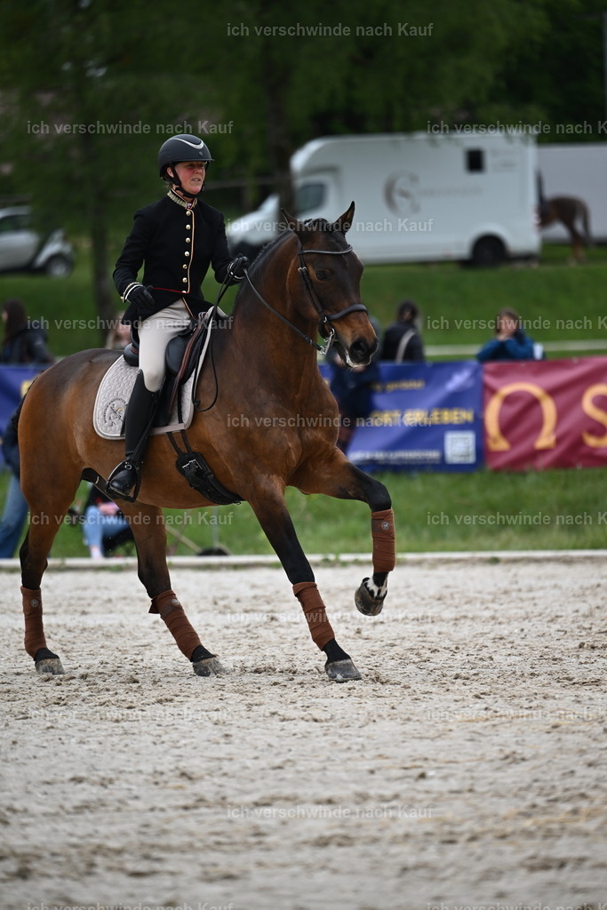 PI26_SP_Sara_Landvogt_226_4888.JPG | working equitationturnier fotograf videograf stoibphotography marixx film working equitation deutschland reitsport turnierfotografie eventfotografie equestrian events