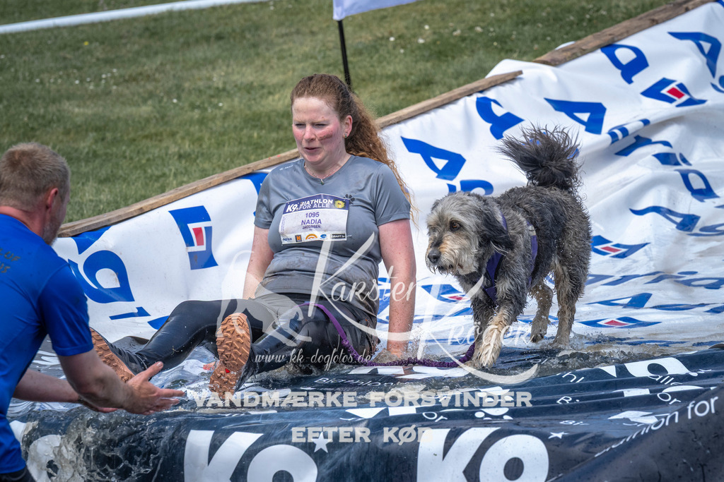 1102_ZZ90469 | kk-dogfotos