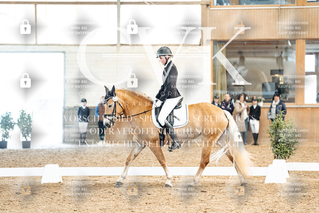 CK909957 | Turnierfotografie Pferdefotografie Trier Rheinland-Pfalz Pferdesport Reitsport Tierfotografie Sportfotografie Pferdevideo Pferdevideografie Equestrianvideography equestrianphotography  - Realisiert mit Pictrs.com