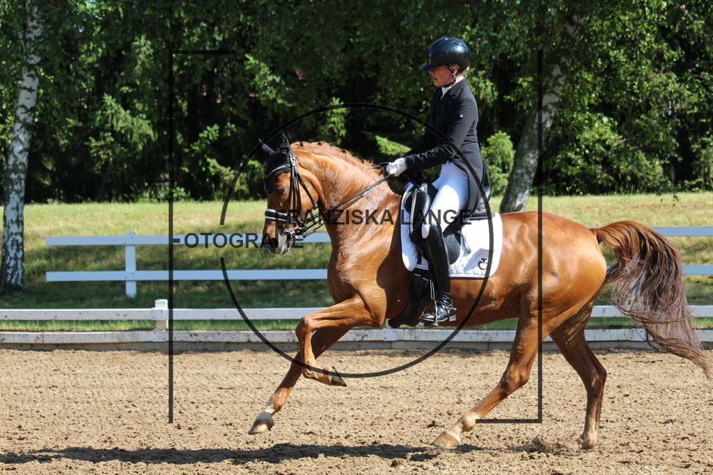 IMG_6515 | franziskalange - Realisiert mit Pictrs.com