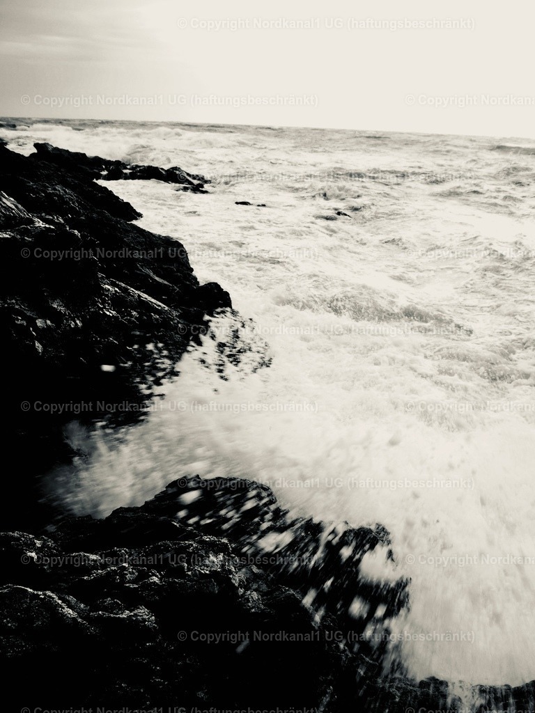 PA231970 | OLYMPUS DIGITAL CAMERA          - Realisiert mit Pictrs.com