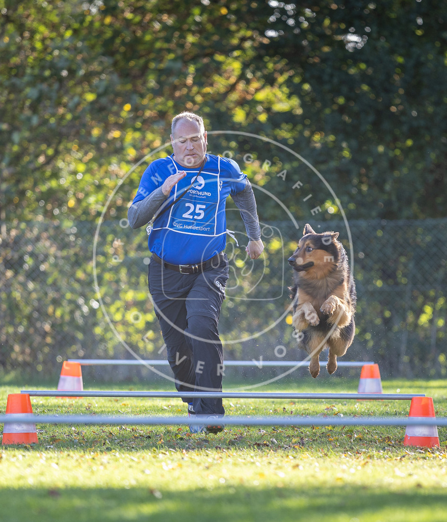 Pfotenfotografie.de_DV3A3065 | Hundefotografie, Tierfotograf, Pfotenfotografie, Fotoshooting Hund, Hunde Portrait, Hundesport, Hundeportraits, Heideshooting, Hunde, Sportfotograf, Hundefotograf, Turnierhundsport, THS, canicross - Realisiert mit Pictrs.com