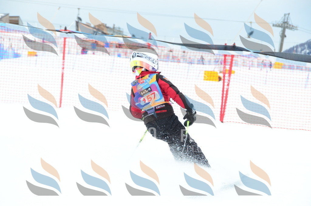 DSC_1501 | holidayphoto