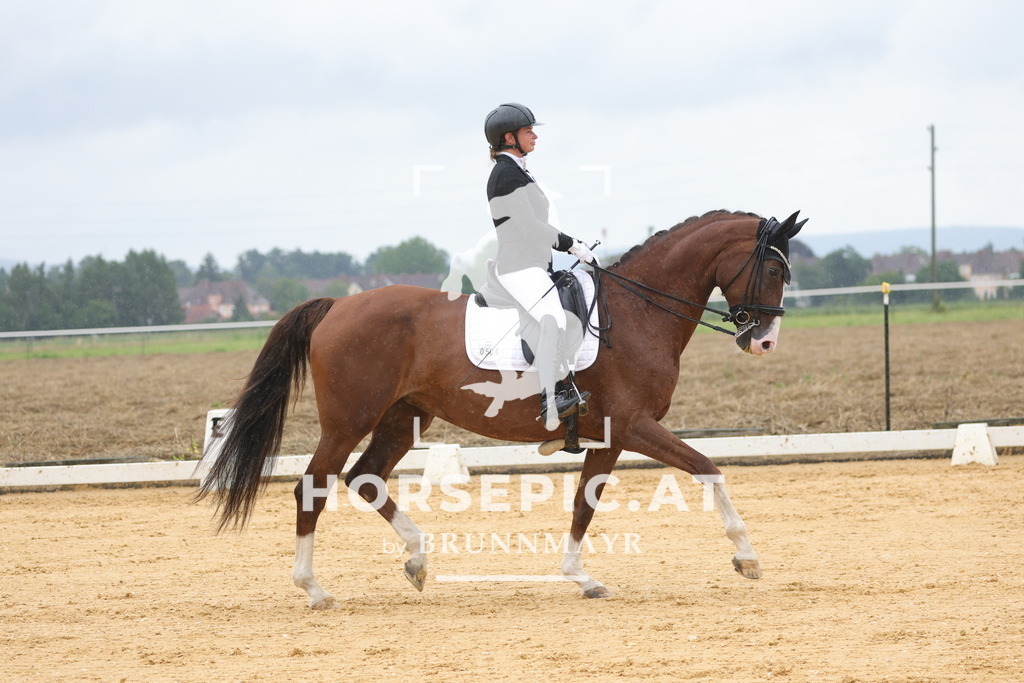0P6A0100 | Willkommen bei Brunnmayr - Design & Fotografie – Ihrem Spezialisten für Reitturniere und Pferdeveranstaltungen in Oberösterreich, Salzburg und Bayern! Seit über 17 Jahren sind wir leidenschaftlich dabei.