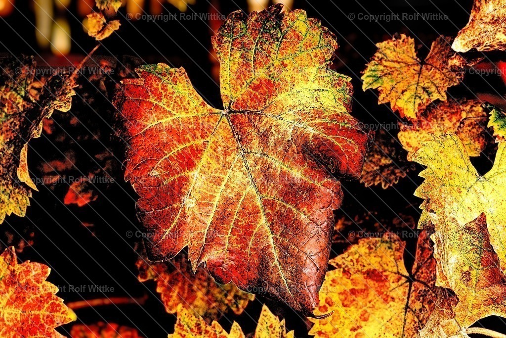 herbst1 | Rolf Wittke  - Realisiert mit Pictrs.com
