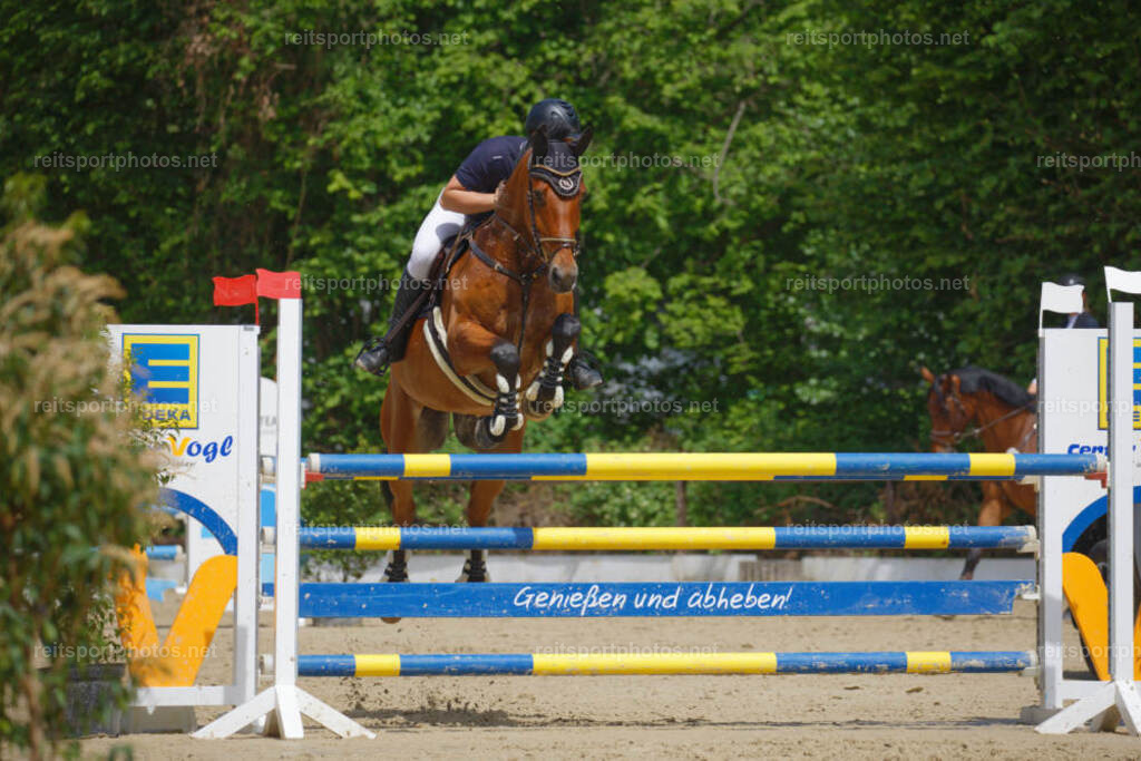 JHE_2967 | JoYa Fotografie - Realisiert mit Pictrs.com