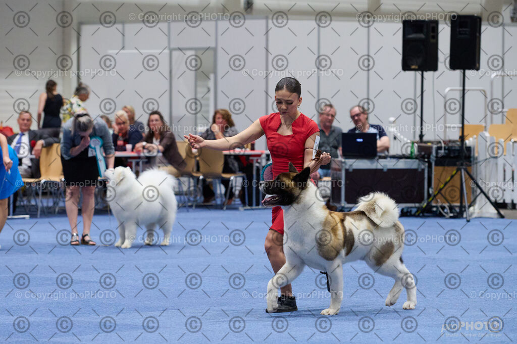 202406_ÖKV-IHA-Tulln24_DSC_3032 | proPHOTO - Realisiert mit Pictrs.com