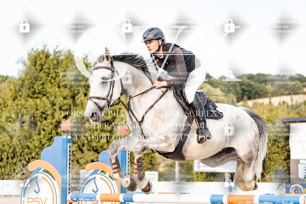 CK903657 | Turnierfotografie Pferdefotografie Trier Rheinland-Pfalz Pferdesport Reitsport Tierfotografie Sportfotografie Pferdevideo Pferdevideografie Equestrianvideography equestrianphotography  - Realisiert mit Pictrs.com