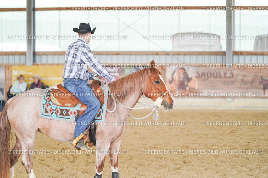 DSC03757 | Pferdegrafie