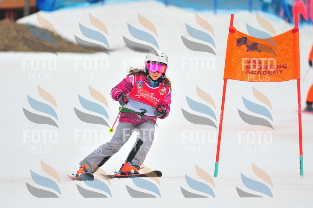 C0390 | holidayphoto