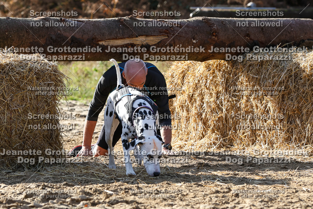 Dog Paparazzi - Strongdog 10-25-5985 | Dog Paparazzi Jeanette Grottendiek Fotografie & Videografie - Realisiert mit Pictrs.com
