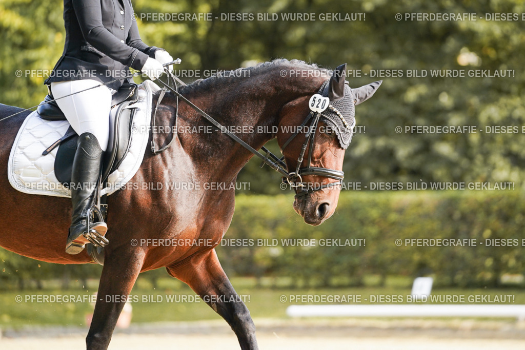 DSC05725 | Pferdegrafie