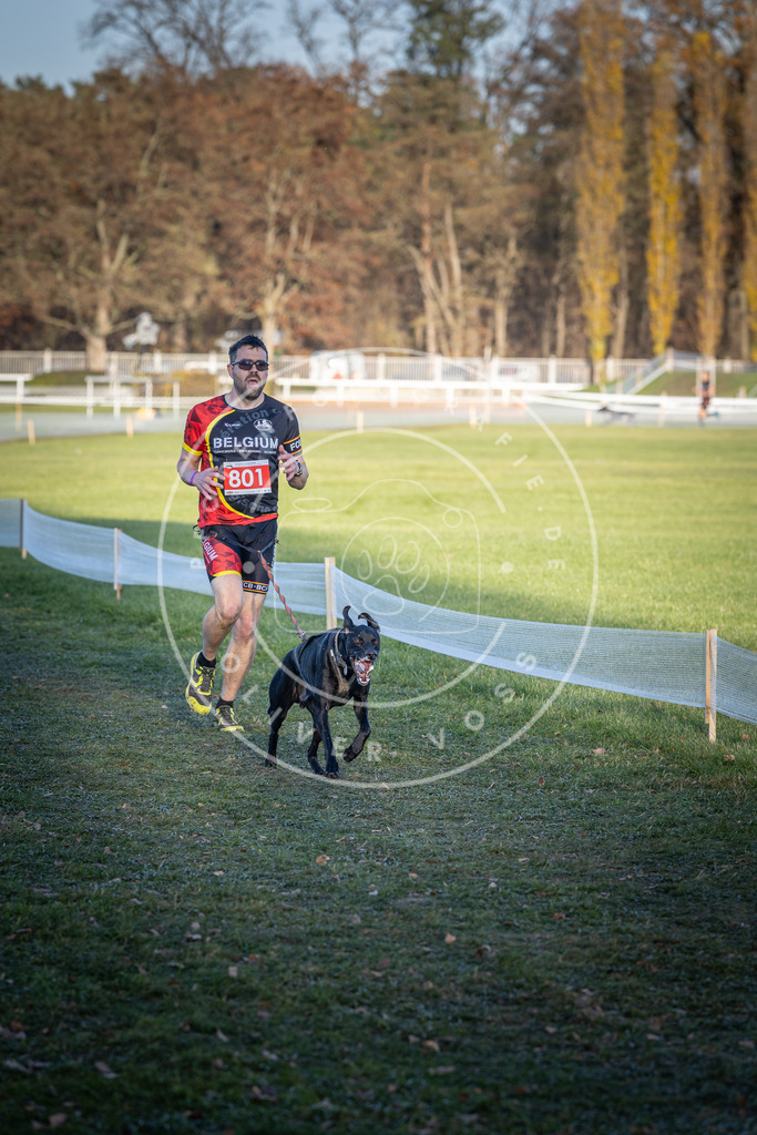 CaniXpix_DV3A2907 | Hundefotografie, Tierfotograf, Pfotenfotografie, Fotoshooting Hund, Hunde Portrait, Hundesport, Hundeportraits, Heideshooting, Hunde, Sportfotograf, Hundefotograf, Turnierhundsport, THS,  - Realisiert mit Pictrs.com