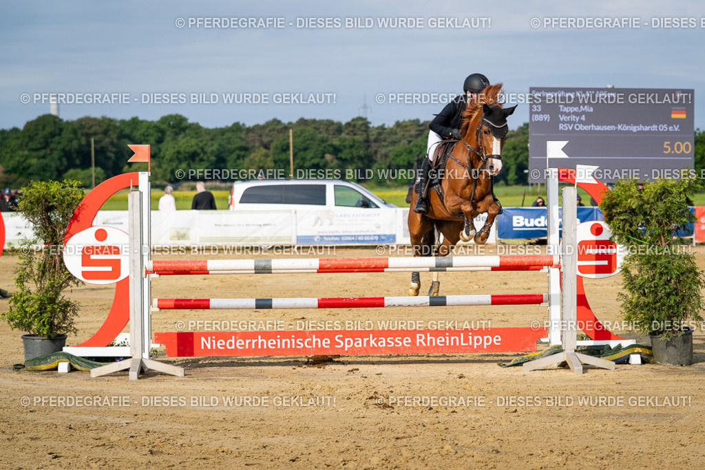 DSC03005 | Pferdegrafie