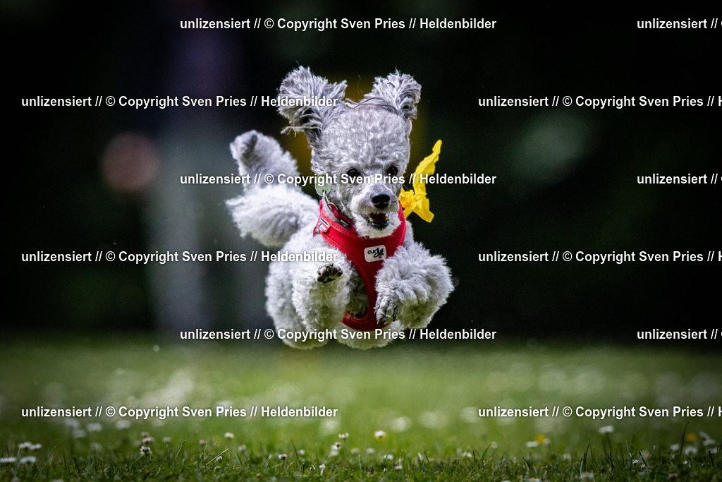 Sven Pries | 2025-05-29 - Pudelrennen KA-Durlach - Realisiert mit Pictrs.com