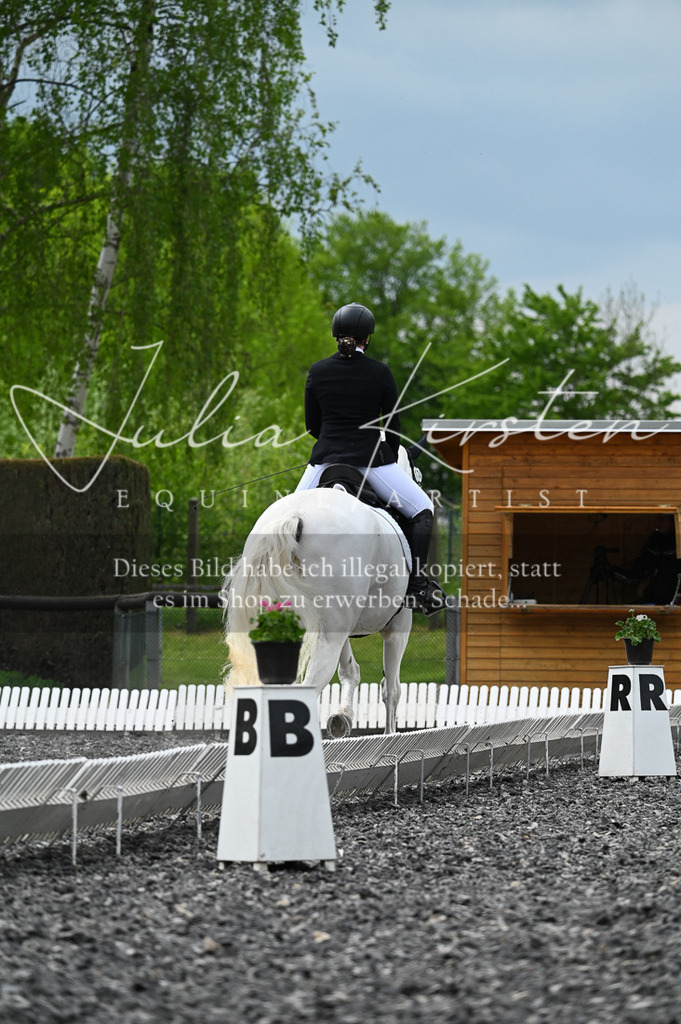 20230512_JK-Röhrsdorf-08-007 | Pferde- und Turnierfotografie in Westsachsen. Pferdeportraits, Auftragszeichnungen und intuitive Kunst.
