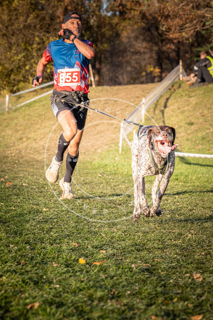 CaniXpix_0L8A0855 | Hundefotografie, Tierfotograf, Pfotenfotografie, Fotoshooting Hund, Hunde Portrait, Hundesport, Hundeportraits, Heideshooting, Hunde, Sportfotograf, Hundefotograf, Turnierhundsport, THS,  - Realisiert mit Pictrs.com