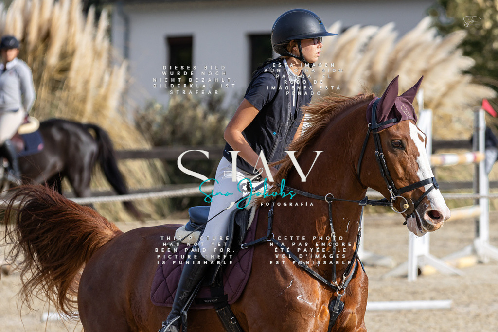 IMG_0196 | s-jay-photography - Realisiert mit Pictrs.com