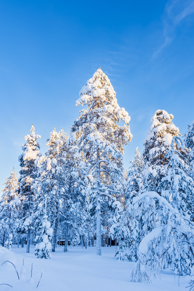Landschaft im Winter mit Wald in Äkäslompolo, Finnland | Landschaft im Winter mit Wald in Äkäslompolo, Finnland.