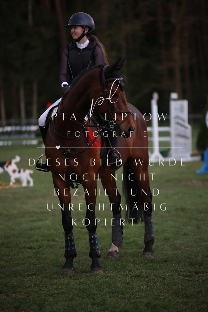 IMGT2152 | pl-fotografie