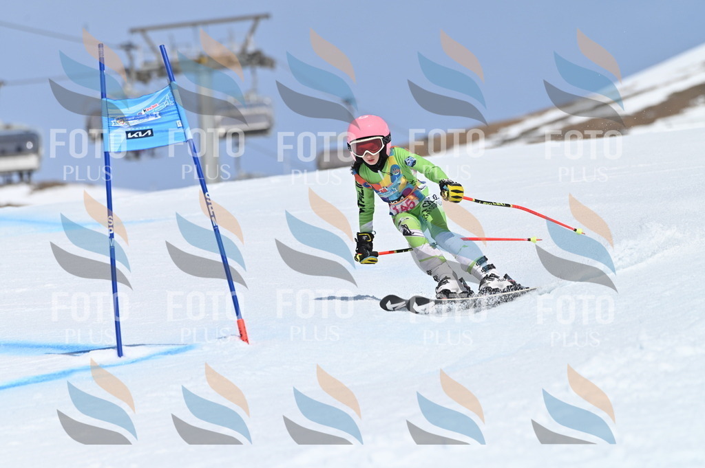 BGV_0238 | holidayphoto