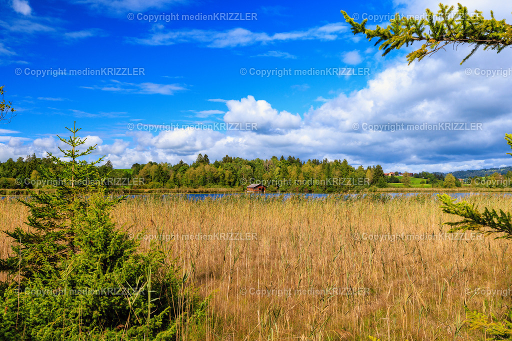 Hopfensee | medienkrizzler - Realisiert mit Pictrs.com