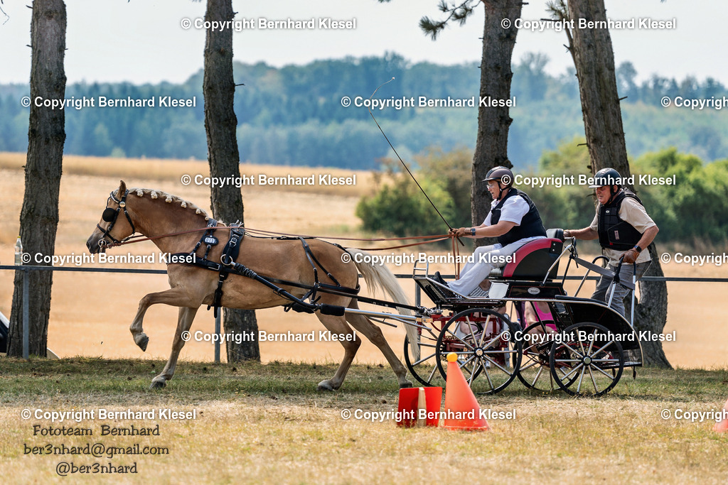 2A902713 | foto-team-bernhard - Realisiert mit Pictrs.com