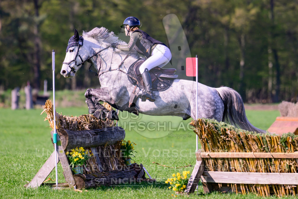 18042026-Gernlinden-04-1-1168 | Fokus Hufschlag Fotografie - Realisiert mit Pictrs.com
