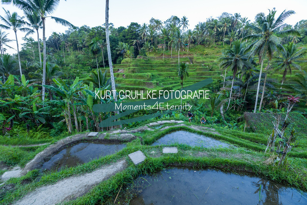 230720-1458 | onlinegalerie und Fotoshop Kurt Gruhlke Fotograf Berlin
Hochzeitsfotograf Eventfotograf Portraitfotografie
 - Realisiert mit Pictrs.com