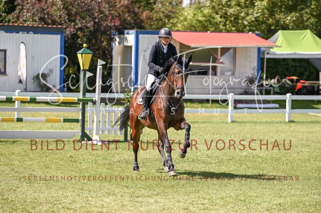 Schugtsche-Düren.2024-09.Springprf.L-58 | Schugtsche Fotografie - Realisiert mit Pictrs.com