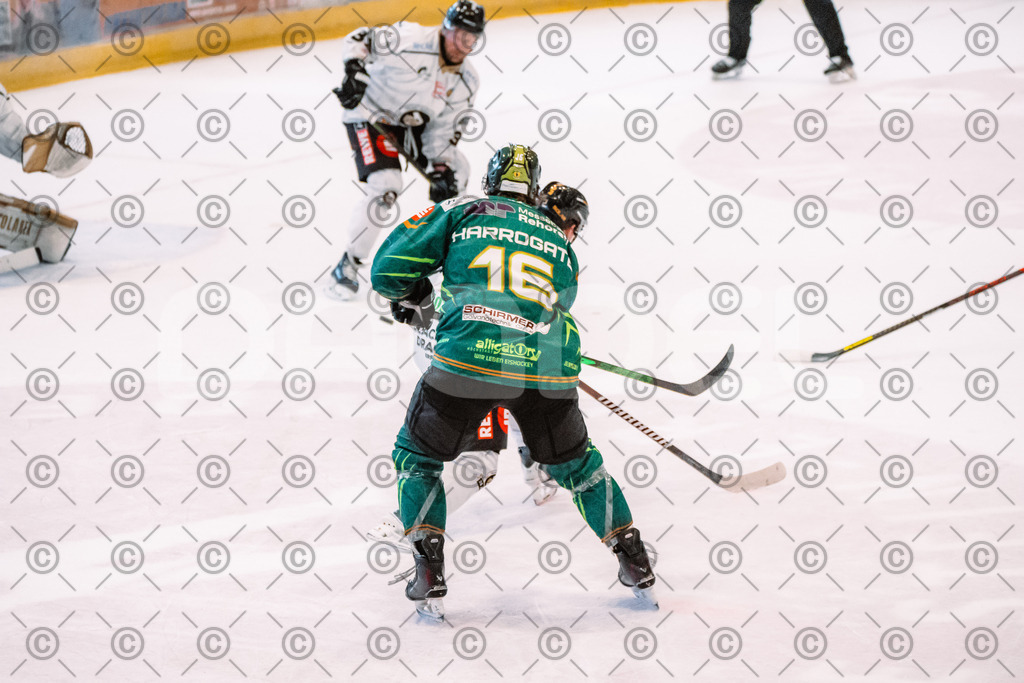 Alligators_vs_Erfurt_06_09_2026-25 | Die Fotogalerie von Daddel: professionelle Bilder von Sport, Events und Unternehmen aus Franken. Jetzt Galerien durchstöbern und Lieblingsfotos bestellen. - Realisiert mit Pictrs.com