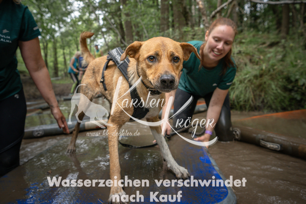 1231_ZZ99691 | kk-dogfotos